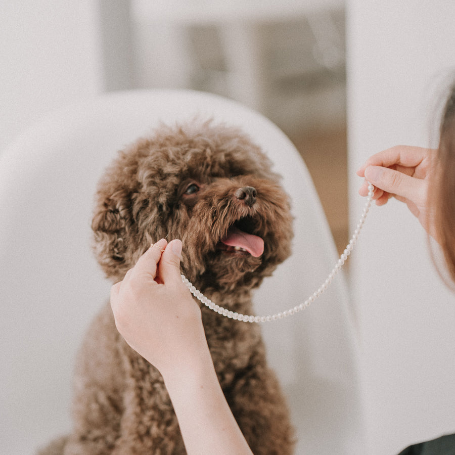 Mommy&Me|親子珍珠項鍊組