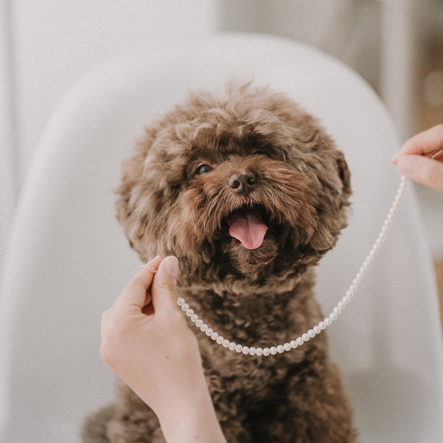 My Baby|6mm 毛小孩珍珠項鍊