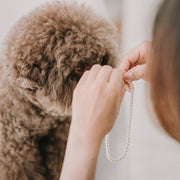 My Baby|6mm 毛小孩珍珠項鍊