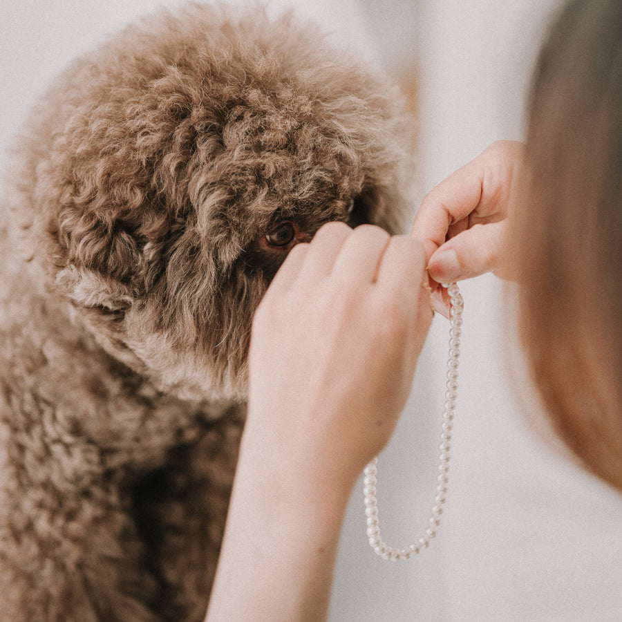 My Baby|6mm 毛小孩珍珠項鍊