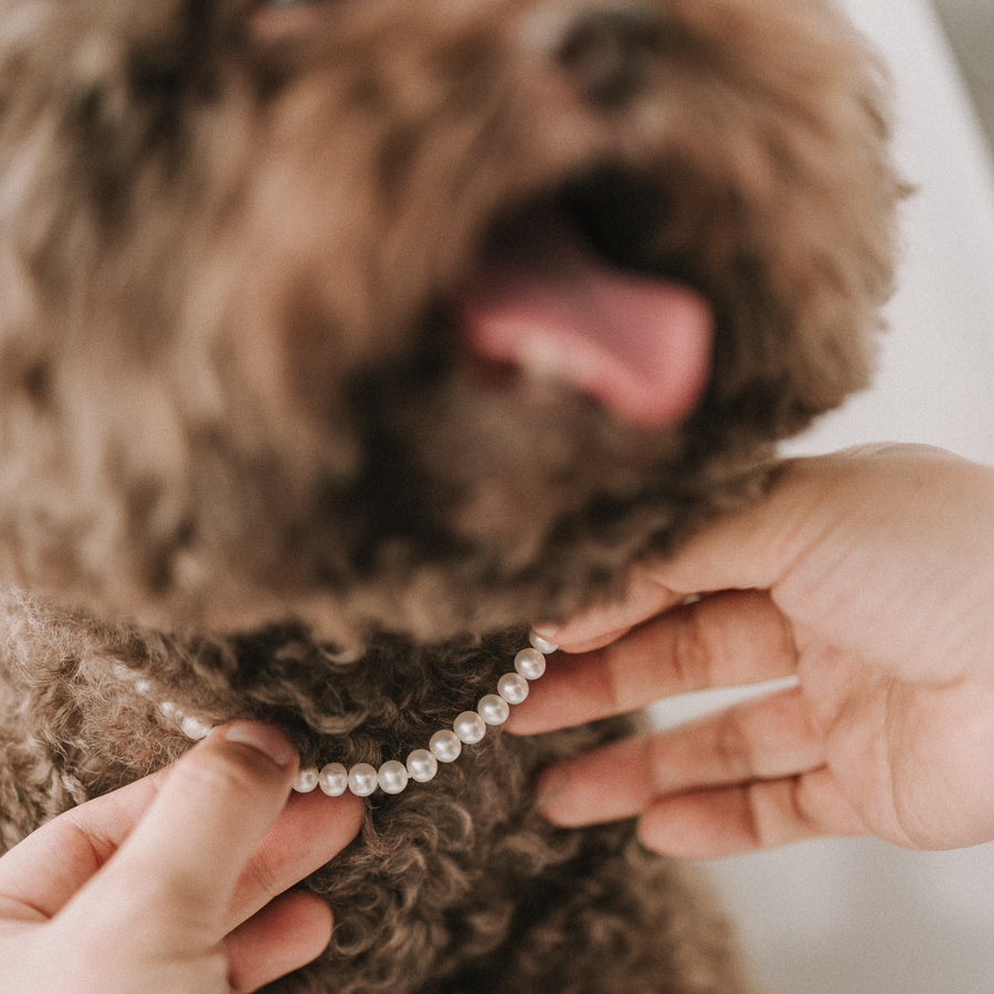 Mommy&Me|親子珍珠項鍊組