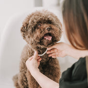 My Baby|6mm 毛小孩珍珠項鍊