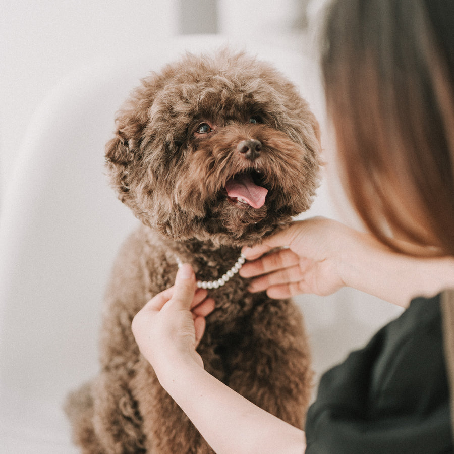 My Baby|6mm 毛小孩珍珠項鍊