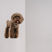 My Baby|6mm 毛小孩珍珠項鍊