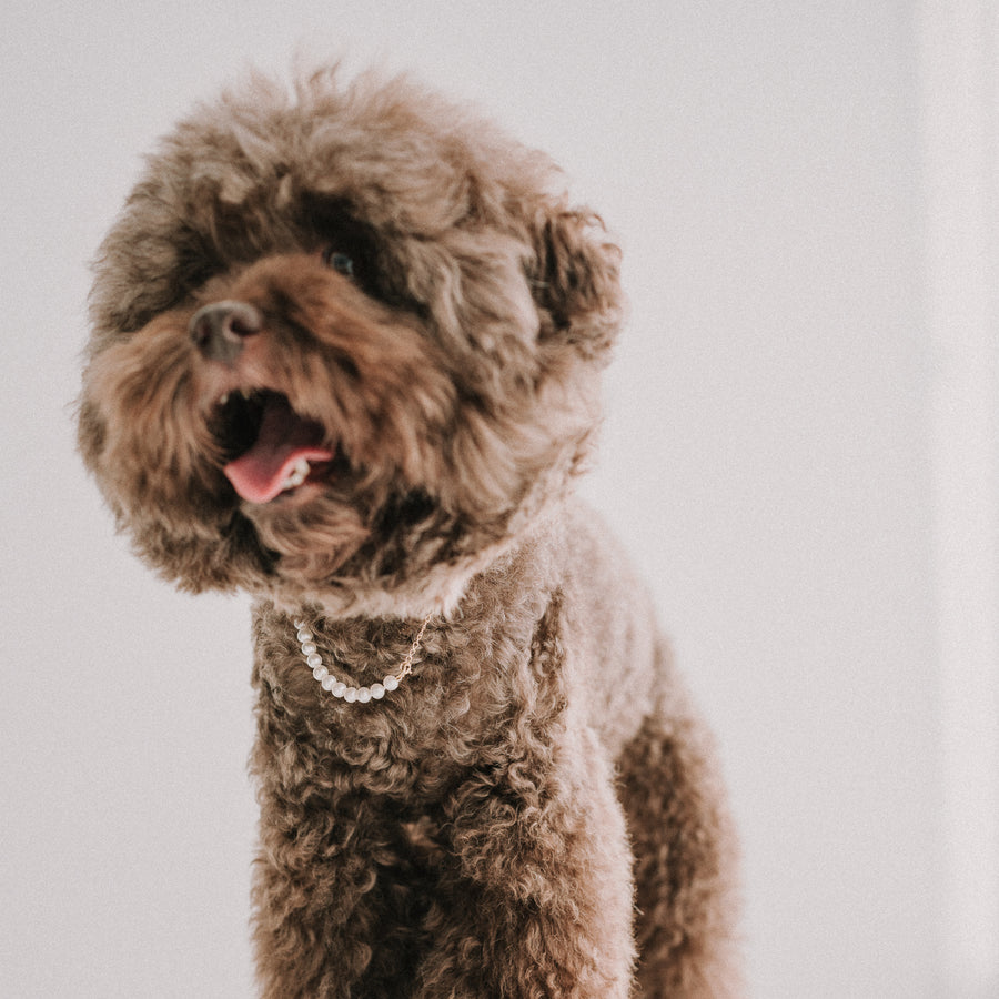 Mommy&Me|親子珍珠項鍊組