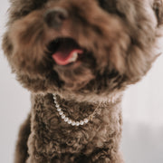 My Baby|6mm 毛小孩珍珠項鍊