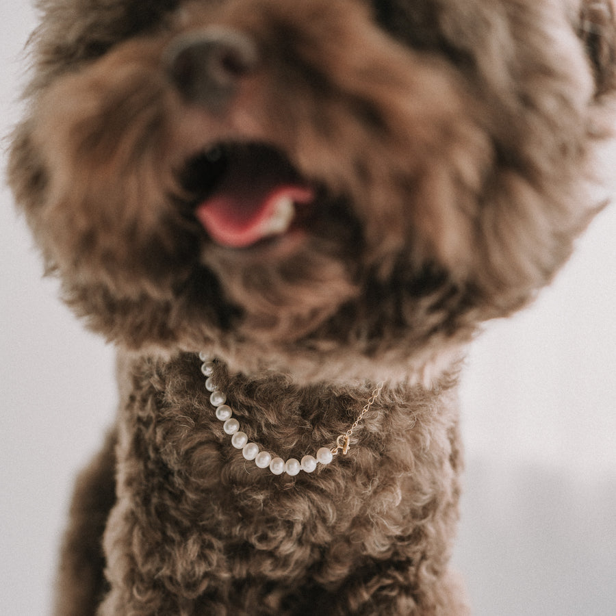 My Baby|6mm 毛小孩珍珠項鍊