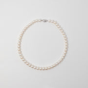 Avery Pearl Set|Akoya珍珠項鍊耳環套組