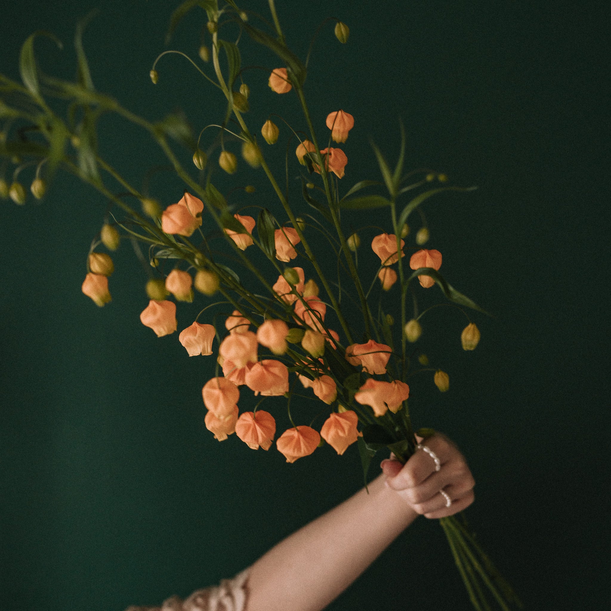 Julia|迷你珍珠戒指